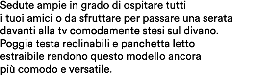 Sedute ampie in grado di ospitare tutti i tuoi amici o da sfruttare per passare una serata davanti alla tv comodament...
