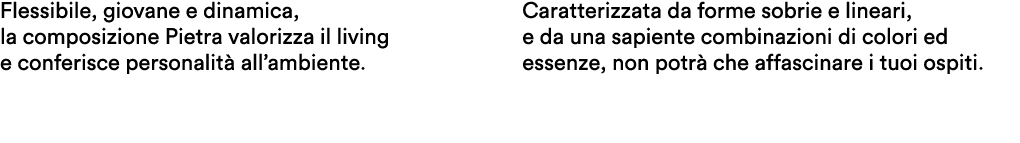 Flessibile, giovane e dinamica, la composizione Pietra valorizza il living e conferisce personalit all’ambiente. Car...