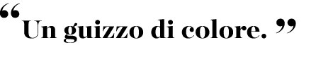 “Un guizzo di colore. ”